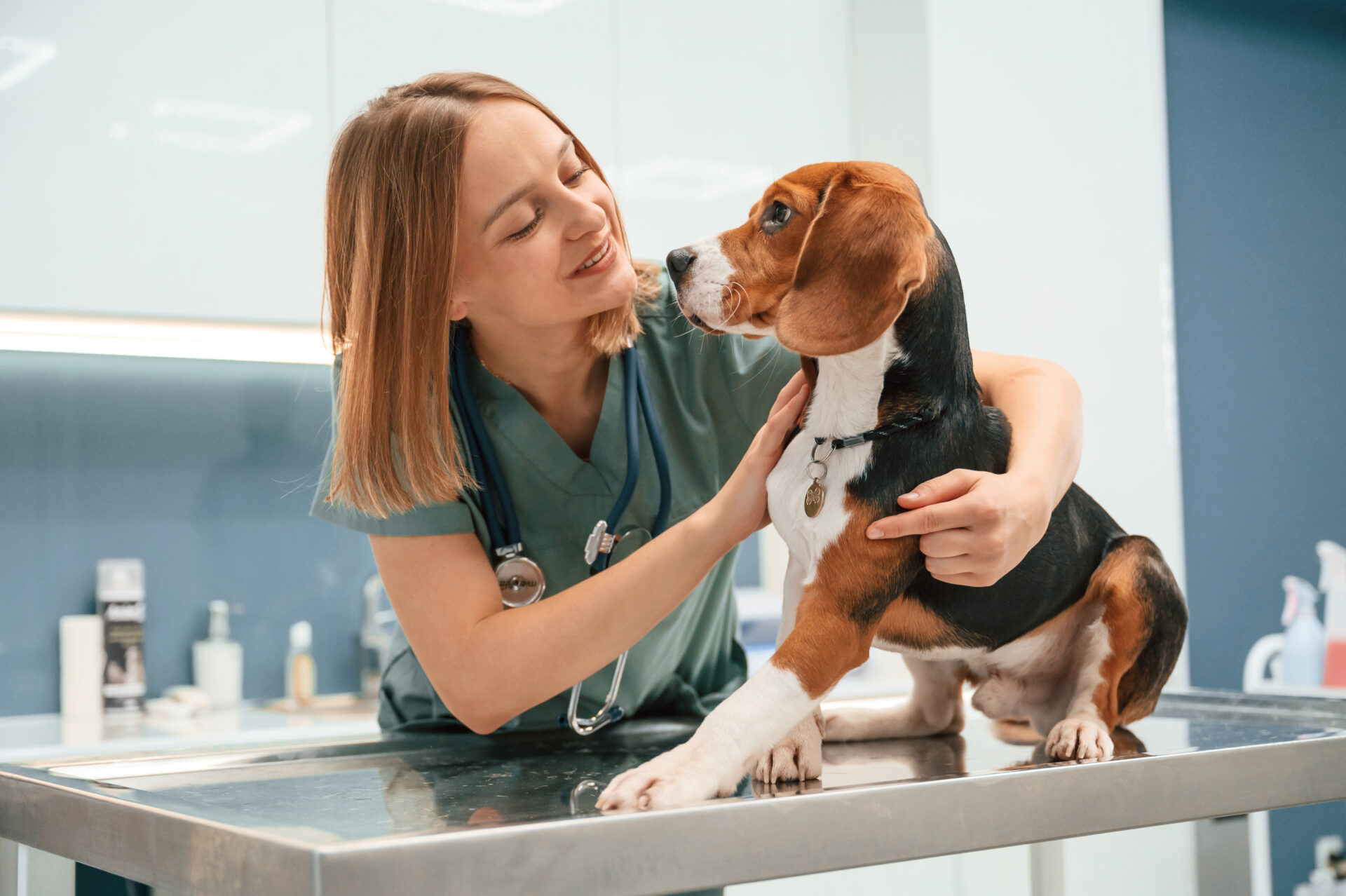 Woman veterinarian is with dog in the clinic.